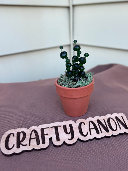 Simply Mini Cacti
